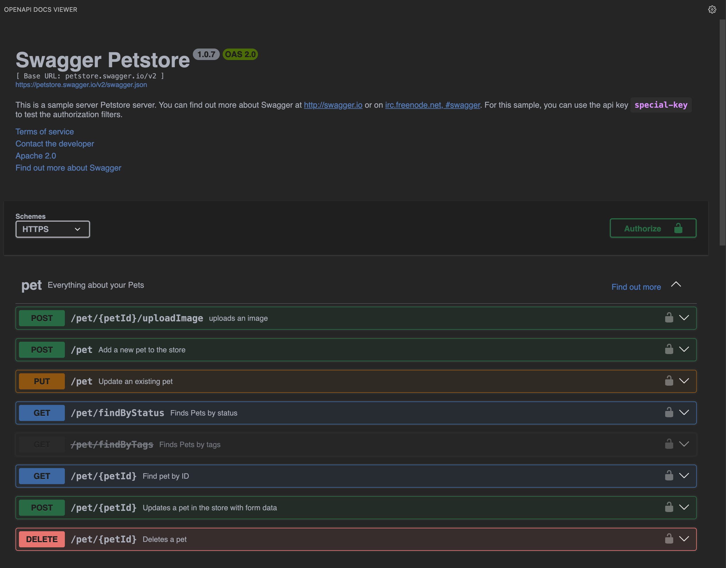 Swagger Dark Theme: Large